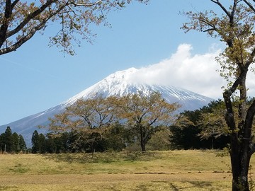 キレイな富士山♪